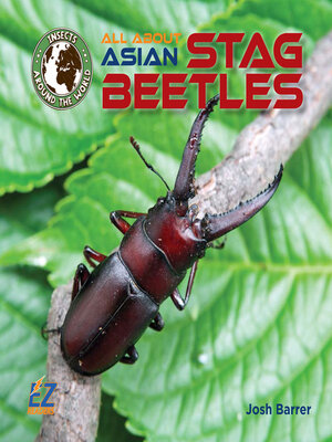 cover image of All About Asian Stag Beetles